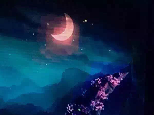 圖片4.png 圖片4.png